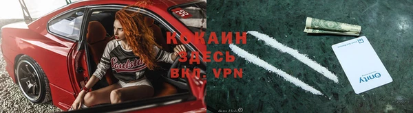 тгк Лиски