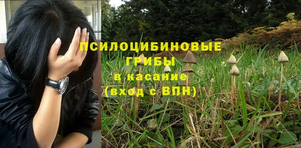 эйфоретик Алексин