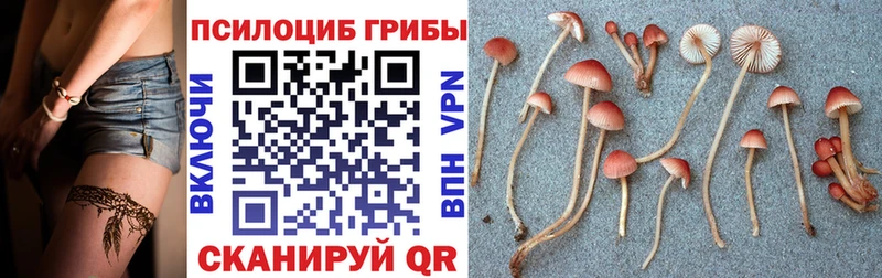 MEGA ссылка  Уяр  Галлюциногенные грибы мухоморы  хочу  