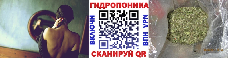 Каннабис планчик  Уяр 